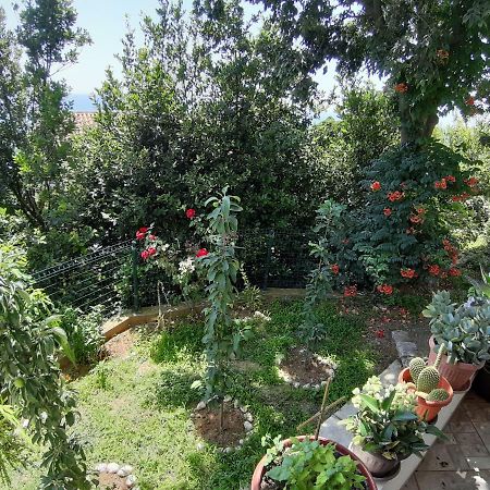 Vesna Apartments Ulcinj Zewnętrze zdjęcie